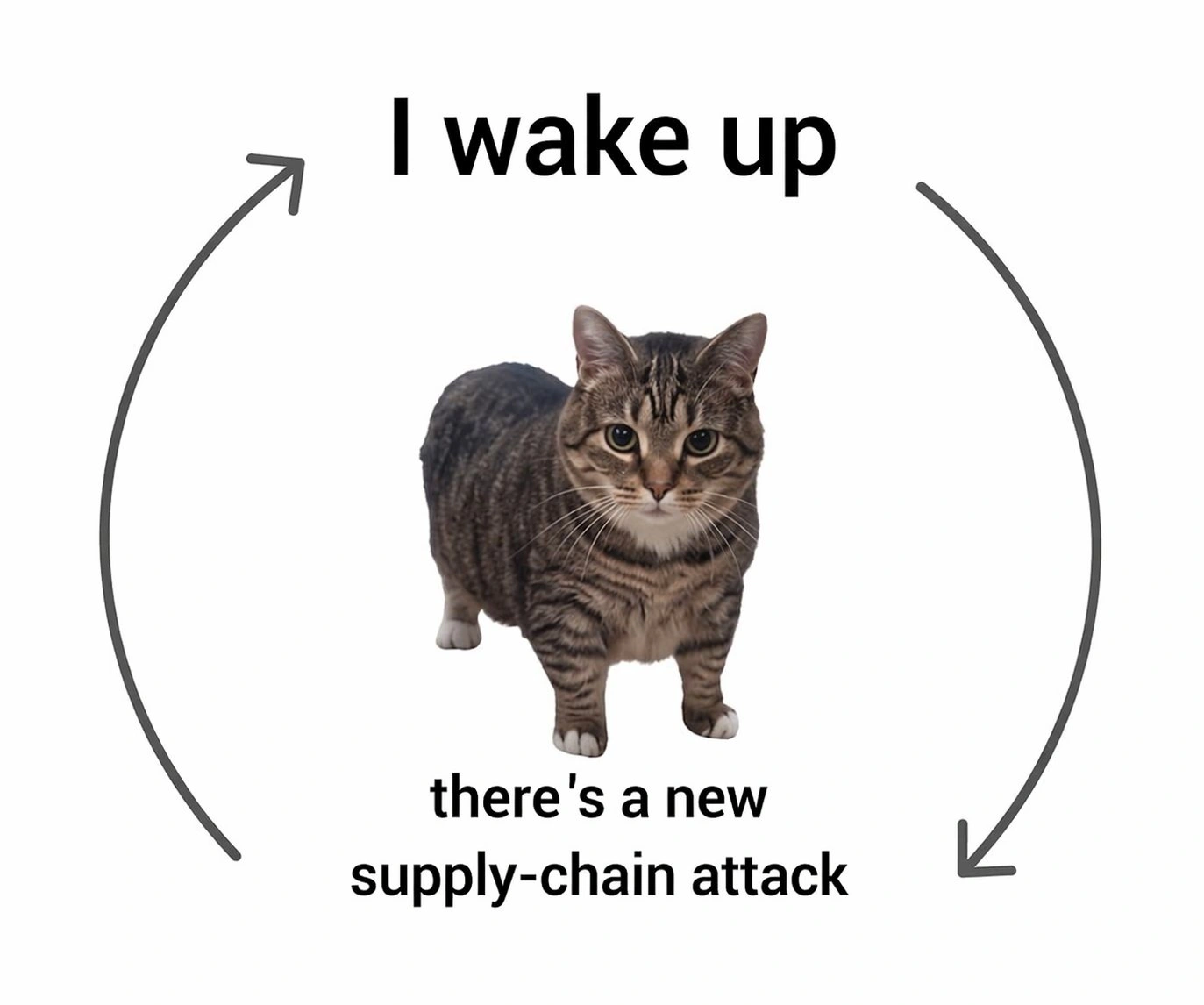Meme