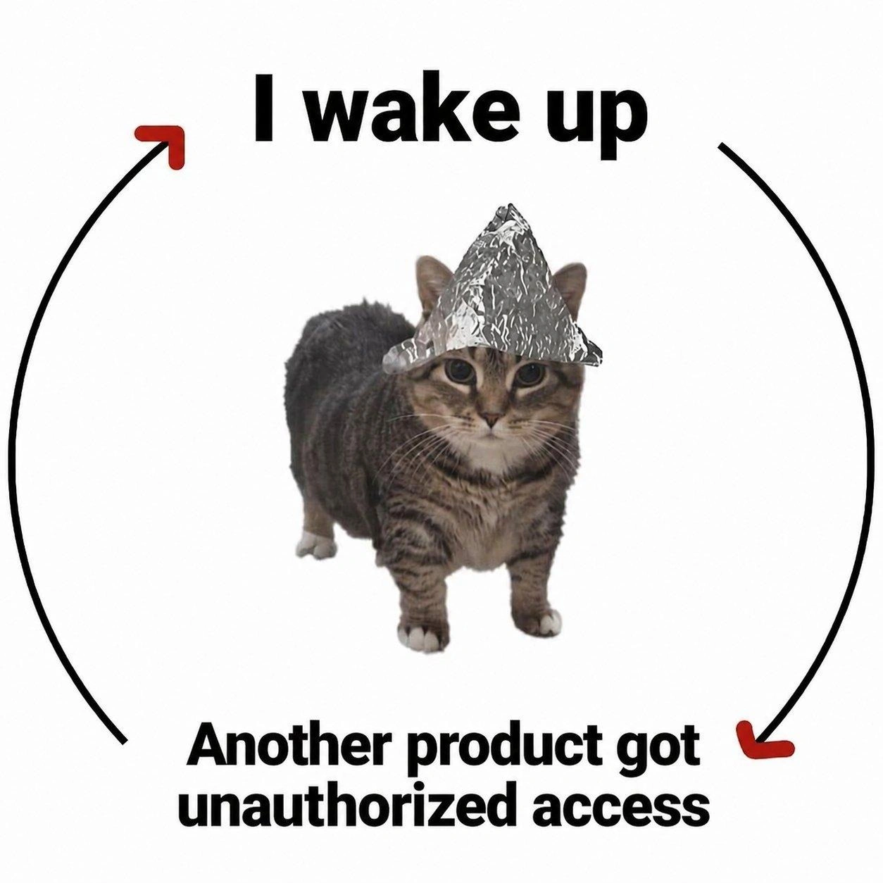 Meme
